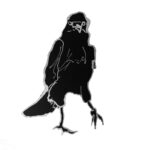 03_krähe8